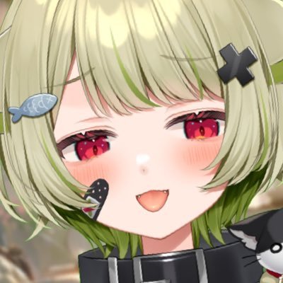 歌喰猫よもぎ